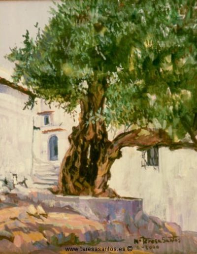 Título: El árbol de Xaouen (Marruecos) Año:2000 Técnica:Óleo sobre lienzo Medidas:36x46